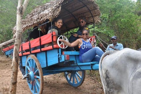 Sigiriya Rock and Village Tour från Negombo