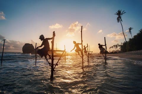 Samtida Ceylon (17 dagar)