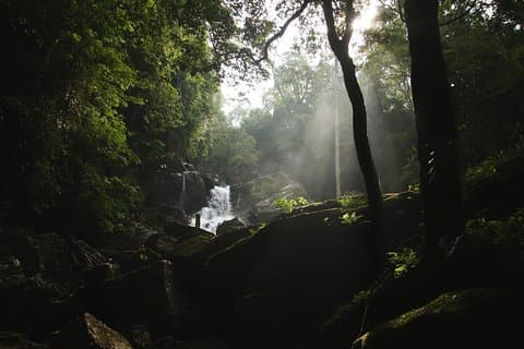 Rainforest Explorer de Bentota (2 días)