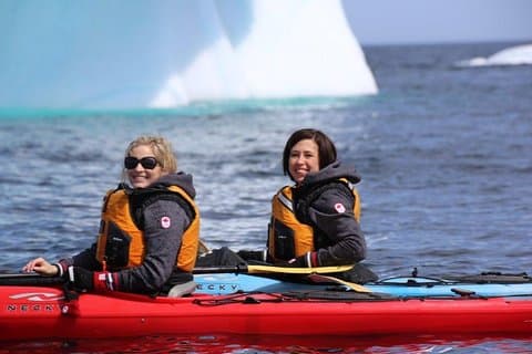 Harbour Kayak Tour