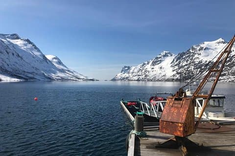 Fjord Sightseeing - Miljøvennlig Tesla Model X