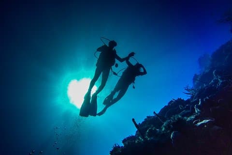 Full-Day Duiken Catalina Island Tour vanuit Bavaro