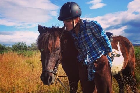 1+ hour Private Horse riding tour from Reykjavík/Mosfellsbær