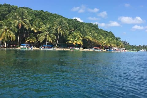Speed Boat tour to Mangrove Point -Starfish Beach -Bocas del Drago and Birds Island
