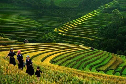 DE BÄSTA SAPA TOURS 3 DAGAR 2 NIGHT (01 Nite in 3 * hotel, 01 nite in homestay)