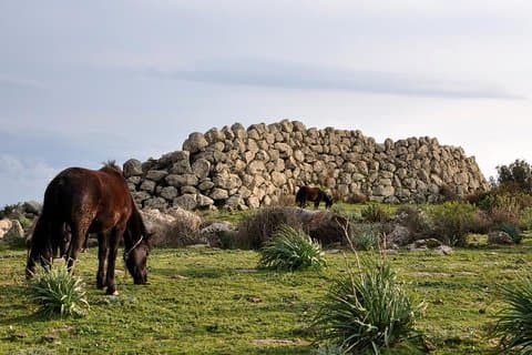 Barumini Unesco Site and Giara of Gesturi Tour from Cagliari