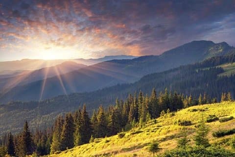 Mt. Vitosha og Boyana foss Fottur tur fra Sofia