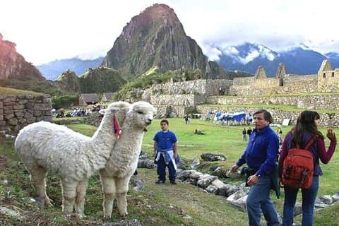 Tour por Perú de 15 días de duración desde Lima y visitando Paracas, Arequipa y Puno