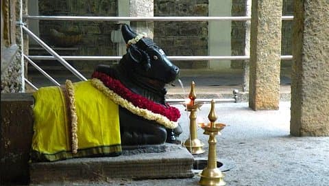 Malleswaram Heritage Walk, ein intensiver Rundgang durch Bangalore