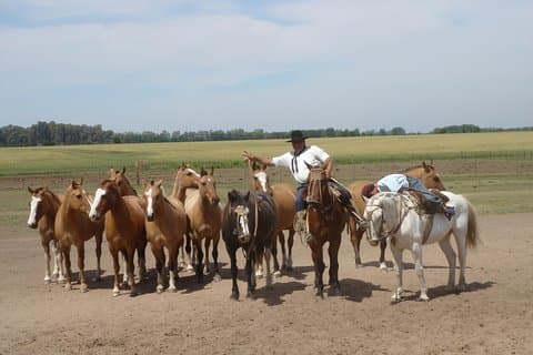 Ranchtrip met privéchauffeur