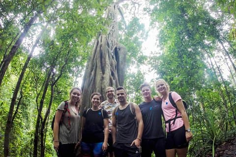 Chiang Mai: Doi Suthep Summit Trek – 7 timmars rent vandringsäventyr