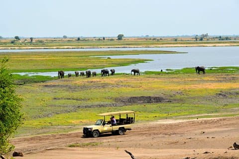 Chobe National Park Game Drive, Botswana