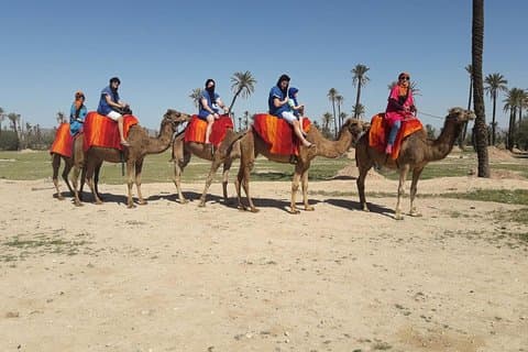 Marrakech Activités: Tour en chameau