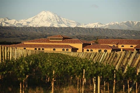 Weintour mit Mittagessen
