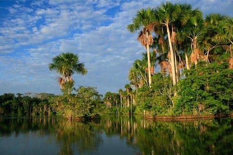 2 días y 1 noche - Tambopata Jungle
