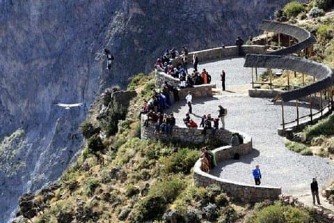 Fullday Colca Canyon with lunch from Arequipa