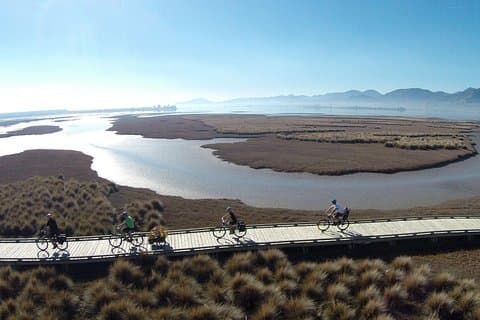 Nelson to Mapua: Full-Day Self-Guided Cycling Adventure