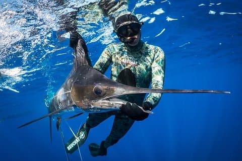 Noleggio di un'intera giornata di pesca subacquea a Kawau Island