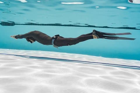 Basic Freediving Course
