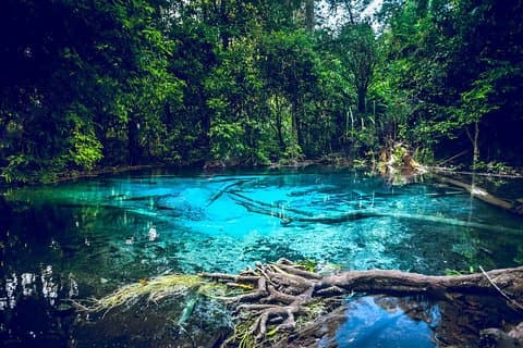Krabi Emerald Pool, Hot Spring och Tiger Temple
