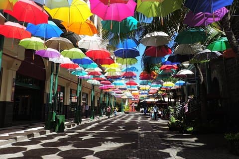 Port Louis et Pamplemousses Garden - Une excursion d'une journée