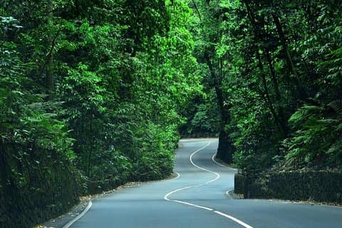 Eco-Tour (Konoko Falls & Fern Gully - von Ocho Rios