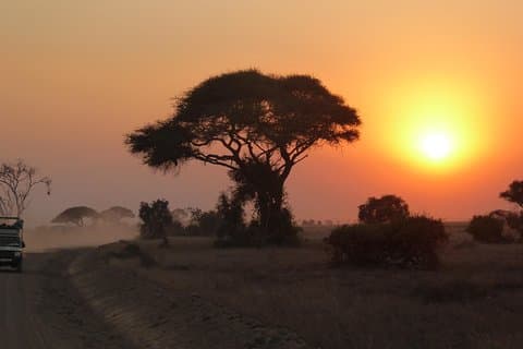 Arusha National Park Safari by Jeep