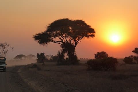 4-daagse safari: Lake Manyara, Serengeti en Ngorongoro