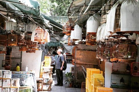 Private Walking Tour: Hong Kong Local Markets Hopper