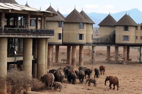 Wildlife 5 Day Safari: Tsavo East, Tsavo West & Amboseli