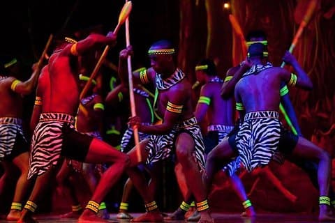 Safari Park Hotel Cat Dance en Dinner Experience