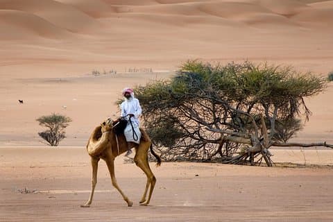 Wahiba Sands Desert med Wadi Bani Khalid Tour med 4X4