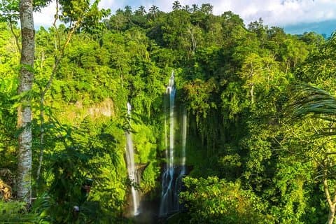 Liten gruppe Sekumpul foss Jungle Trek med lunsj