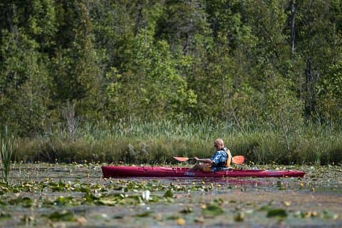 Door County Wetlands Kayak Tour