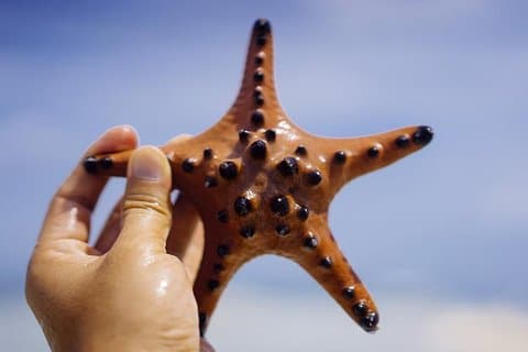 Private Tour: Bohol - 2 Days and 1 Night