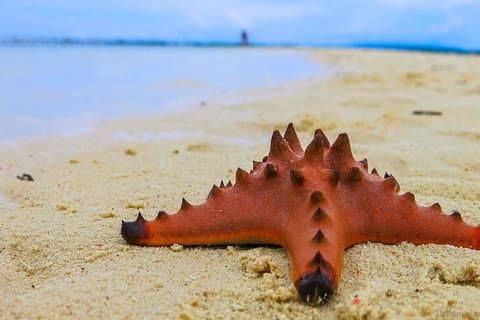 Cebu: 3 Days and 2 Nights