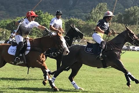 厩舎ツアーとVIP席とプライベートアイランドツアーでホノルルポロゲーム