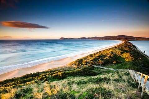SHORE EXCURSION - Full-Day Guided Bruny Island Tour från Hobart