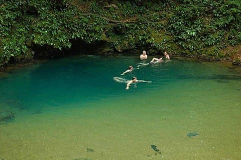 Saint Herman's Cave Vandring og Blue Hole Tour fra Belize City