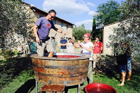Discover Organic and Biodynamic Chianti Small Wineries