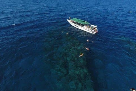 Halvdags snorkling til Lanai fra Kaanapali Beach + Dolphin Søg