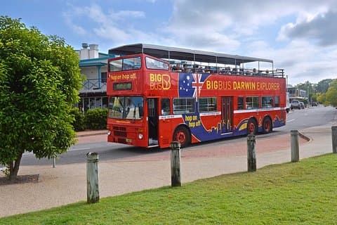 Darwin Shore Excursion: Hop-on Hop-off Bus Tour