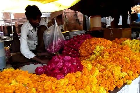 En tidlig morgen glimt af livet i Jaipur