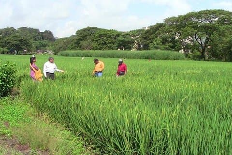 A Day in the Countryside Around Mumbai with Lunch