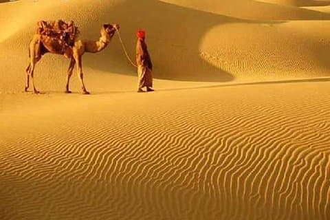 Eine Kamelsafari durch die Thar Wüste Sanddünen nahe Bikaner