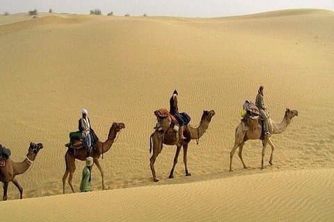 Kamel Safari på Osian från Jodhpur