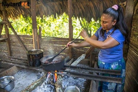 BriBri Schokolade Tour im Puerto Viejo & Cahuita Nationalpark