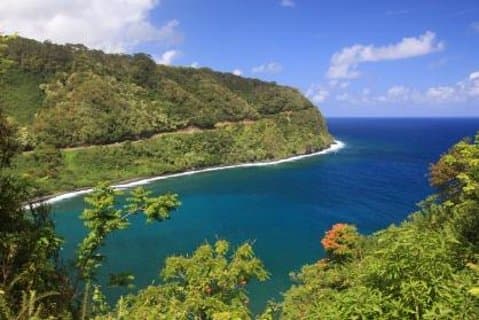 クルーズ船ショアエクスカーション:カフルイ天国の花ツアー