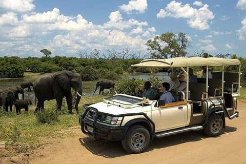 Safari Pass (Simbabwe)