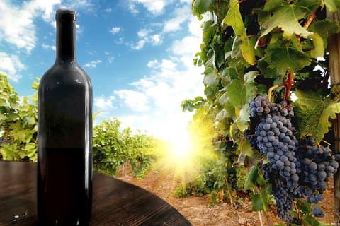 Top 3 Wineries Private Full-Day Guided Tour of the Kakheti Region